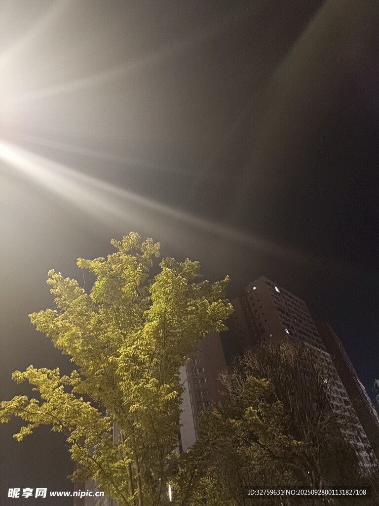 陽(yáng)光穿透樹(shù)葉灑向城市