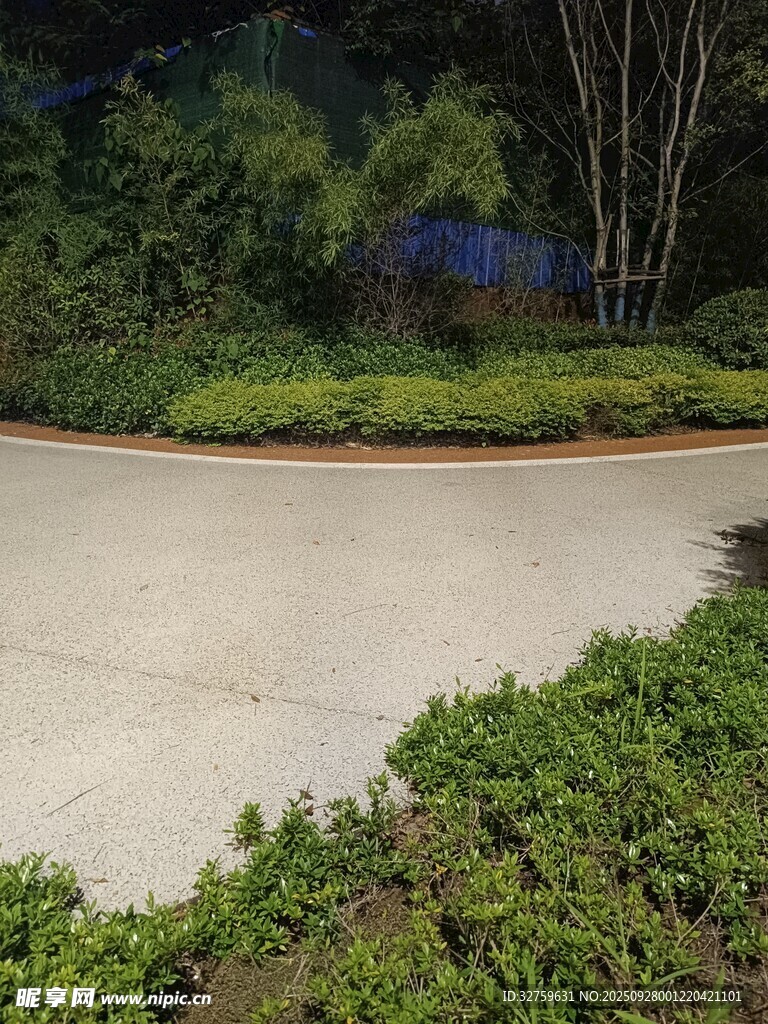 戶外綠意盎然的道路景觀