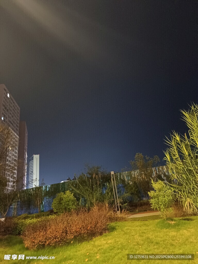 城市夜景下的綠地與高樓