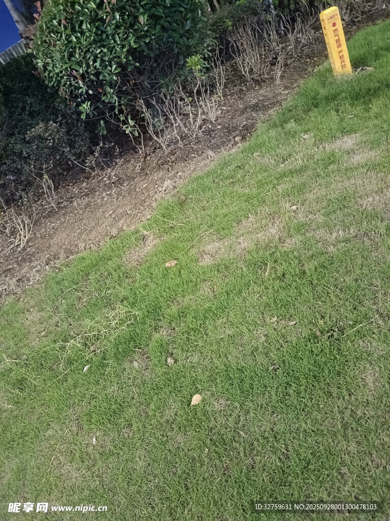 戶外草地及周邊景象