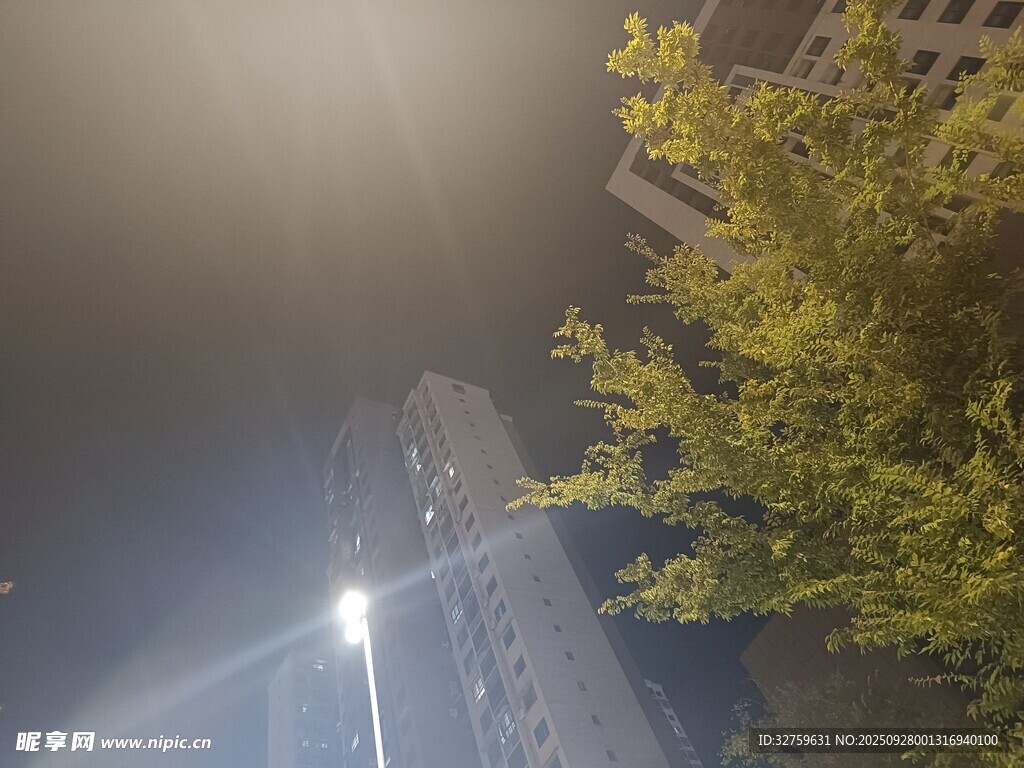 夜晚城市高樓與樹木景象