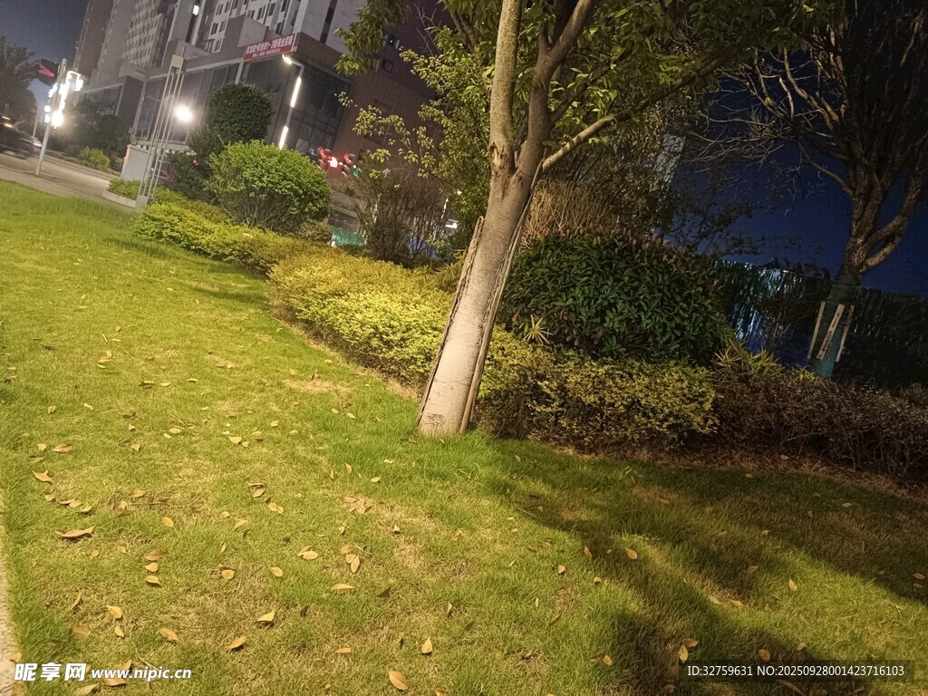夜晚小區(qū)內(nèi)的綠化景致