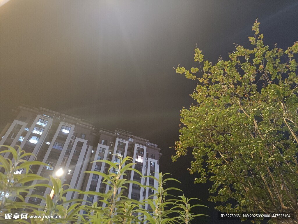夜幕下的高樓與蔥郁樹木
