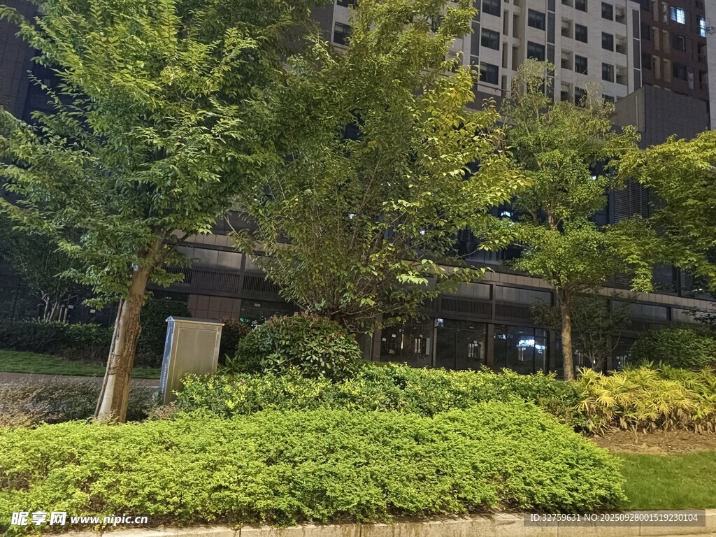 城市綠植景觀