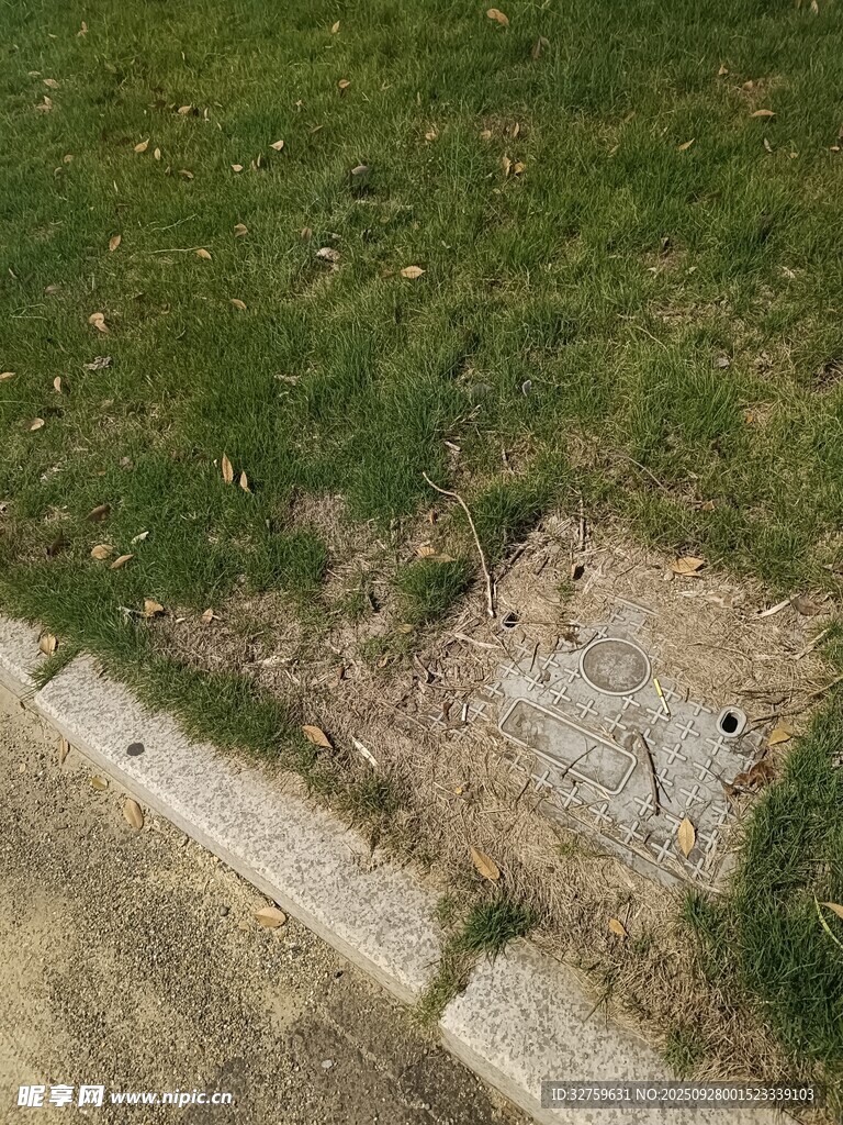 草地邊緣破損的裸露地面