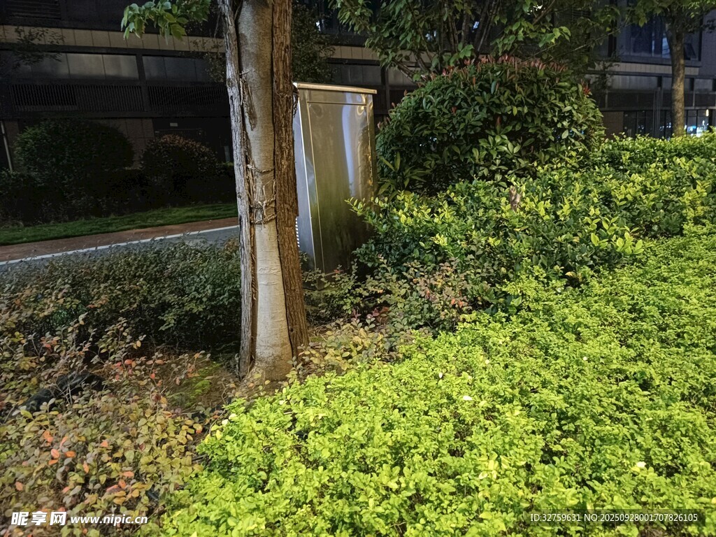 戶外綠植景觀一角
