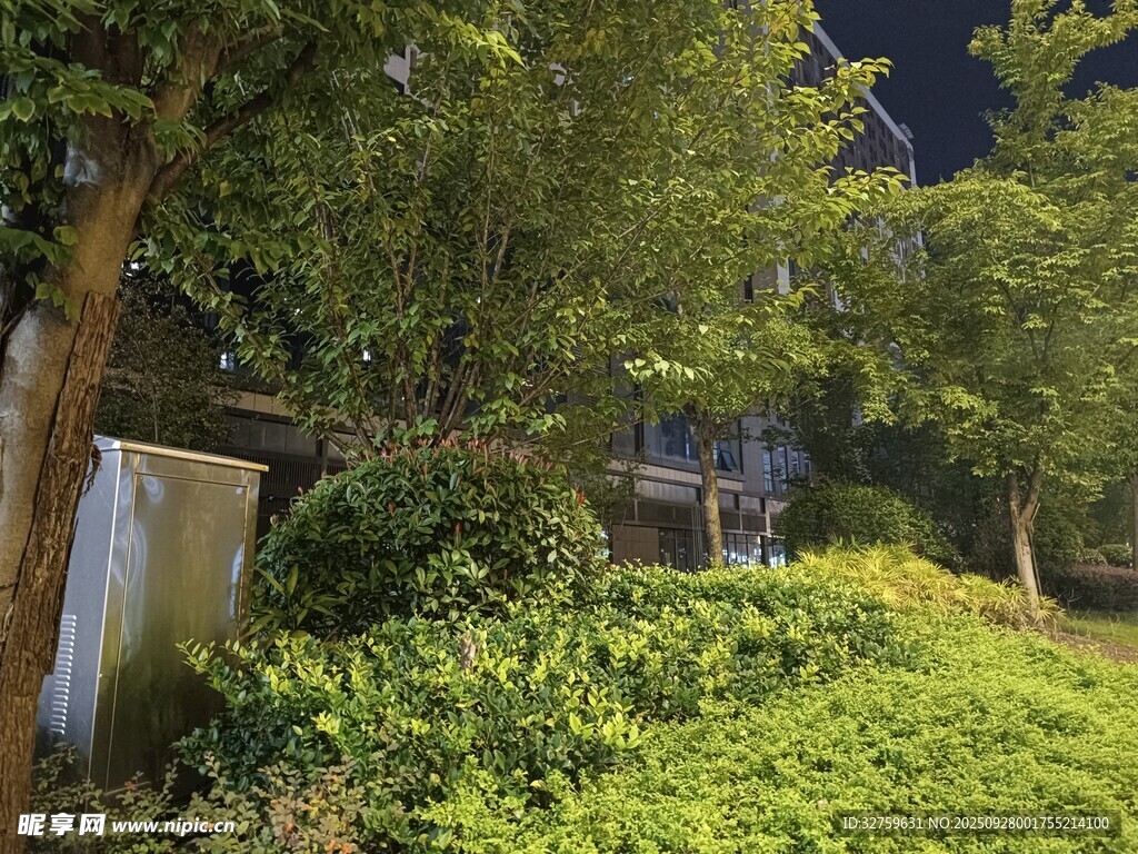 夜晚林間小屋隱于綠植中