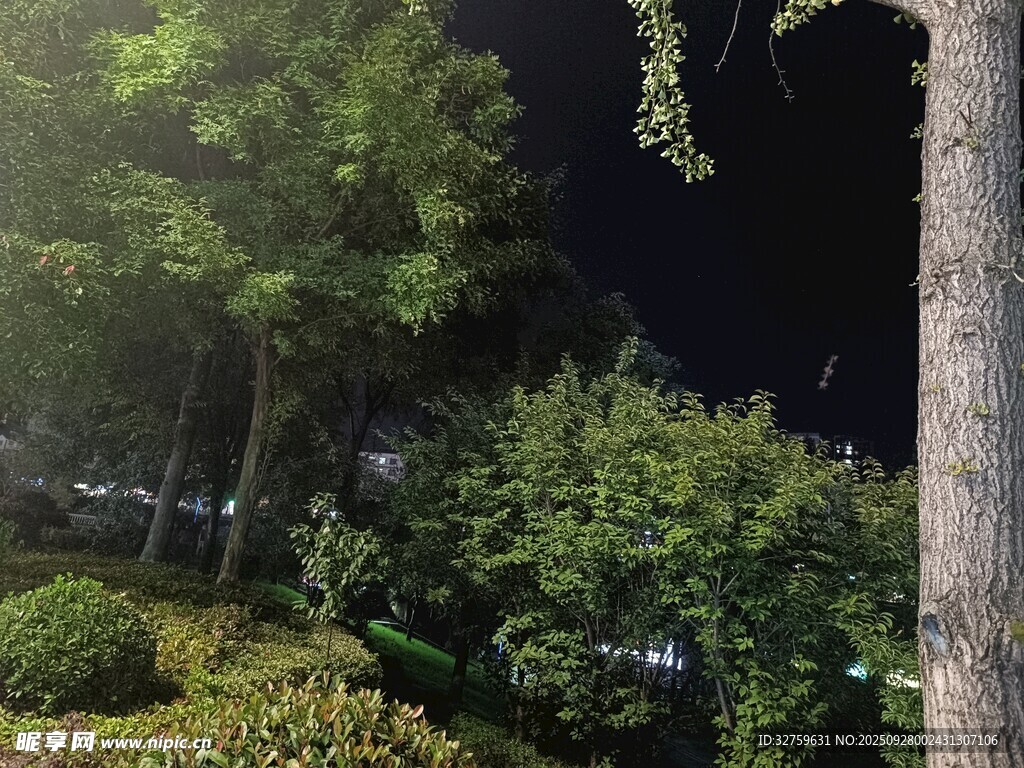 夜晚城市綠植景觀
