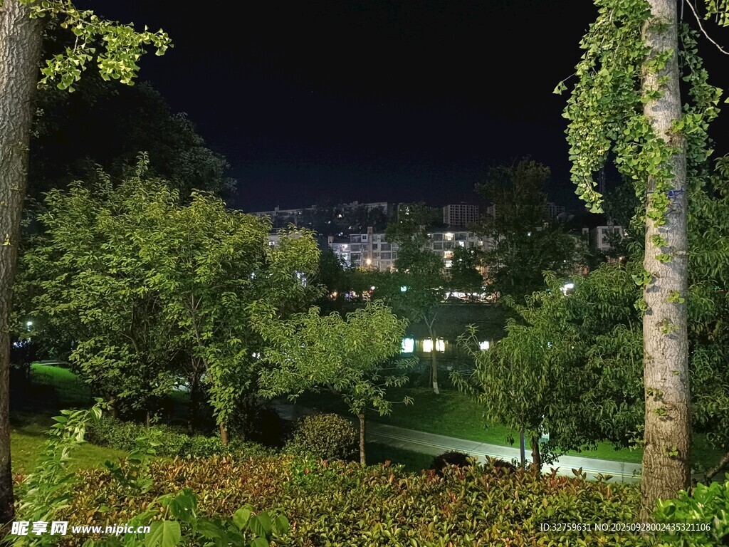 夜晚花園景色