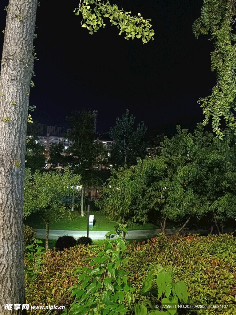 夜晚公園綠植與噴泉景觀