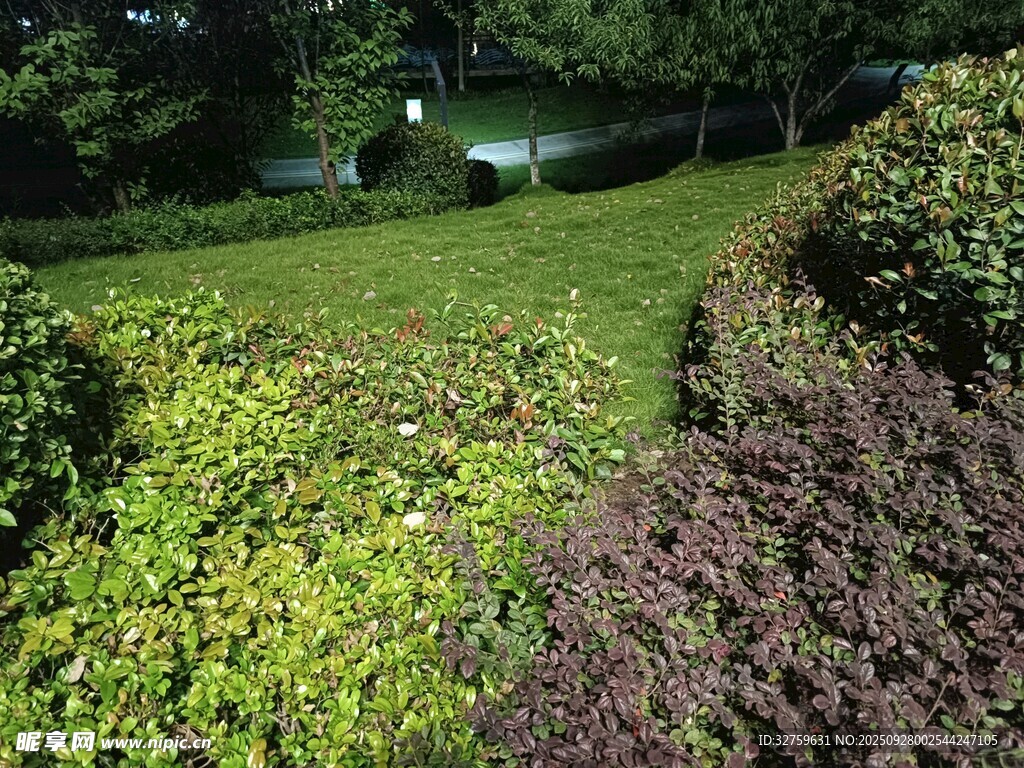 綠意盎然的花園景觀