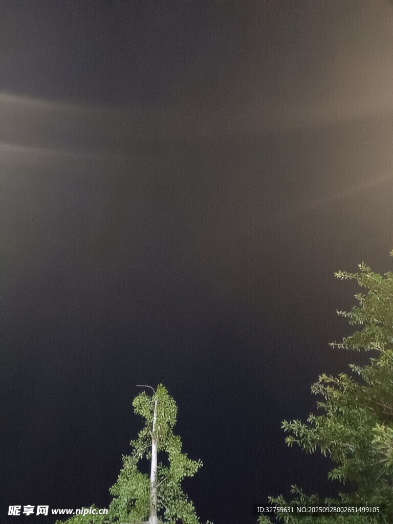 夜空下的樹(shù)木剪影