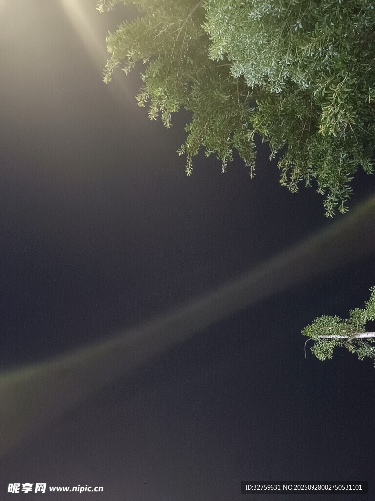 俯瞰靜謐水面與岸邊綠樹