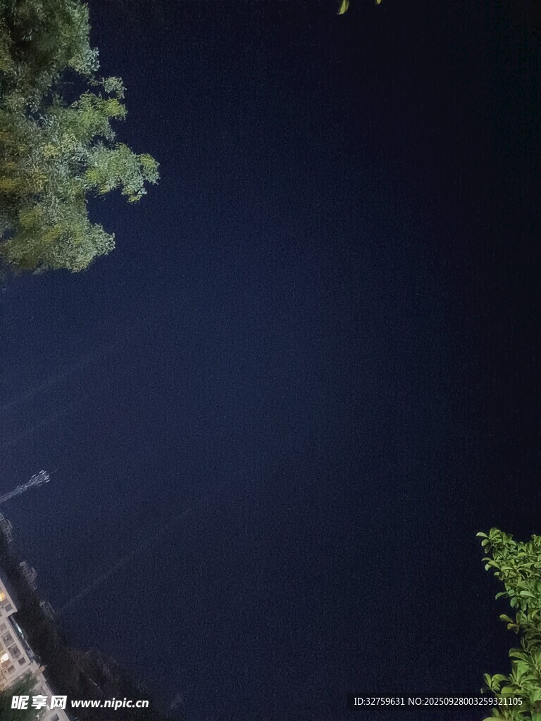 俯瞰靜謐湖水與岸邊綠植