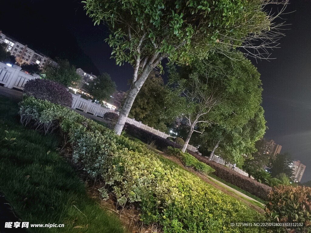 夜晚綠植景觀