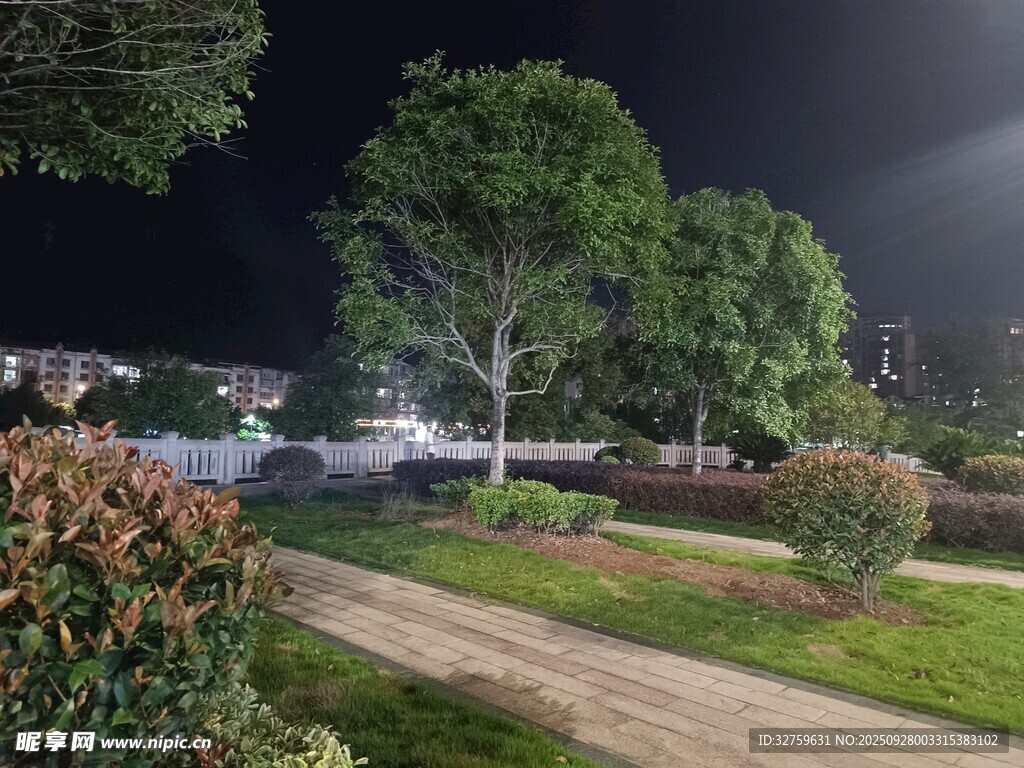 夜晚靜謐的庭院小路景觀