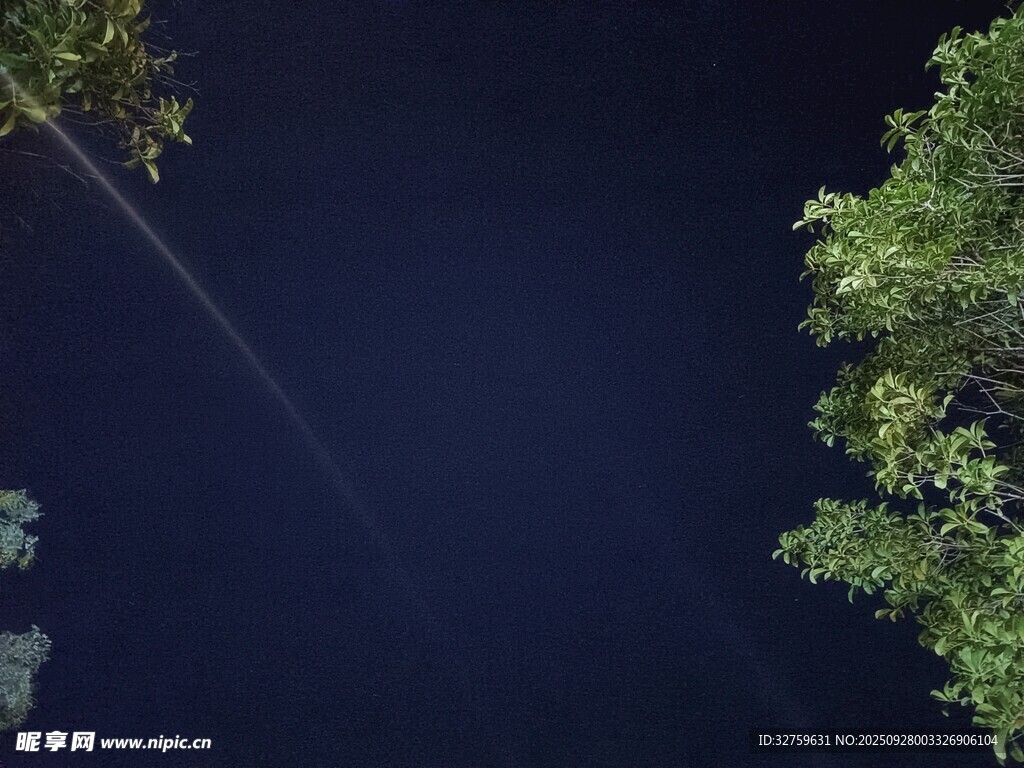 夜空下的光束與綠樹