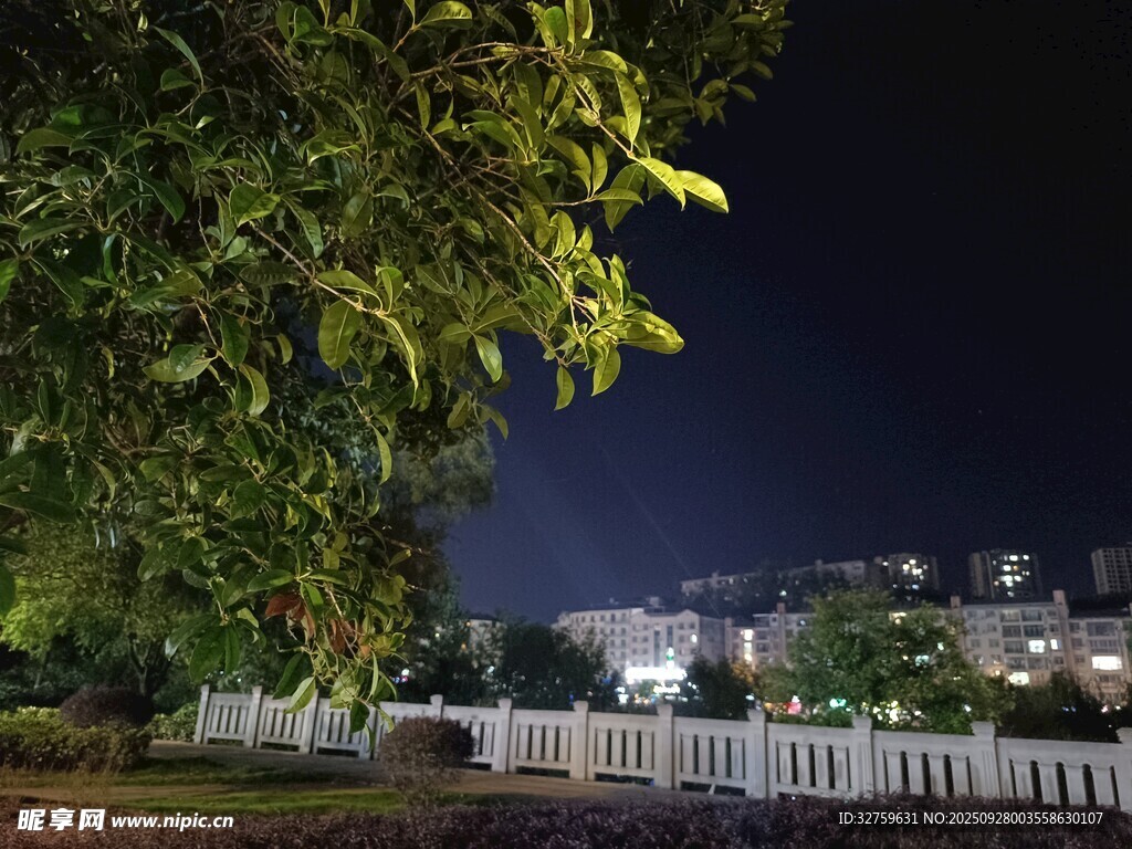 夜晚樹下的白色圍欄景致