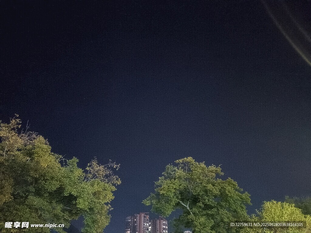 夜幕下的樹木與遠處建筑