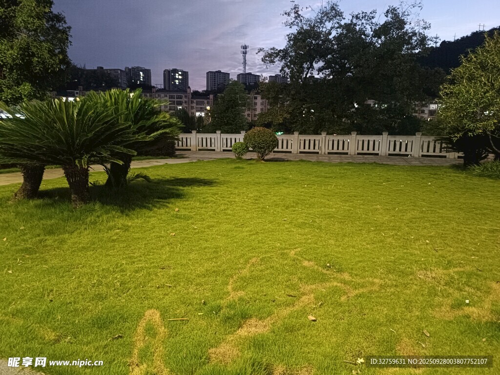 綠意盎然的戶(hù)外草坪景觀