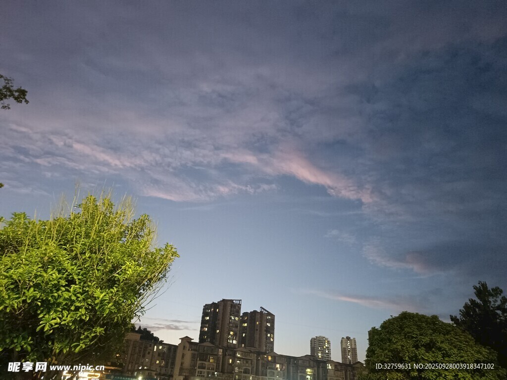 城市綠樹與天空美景