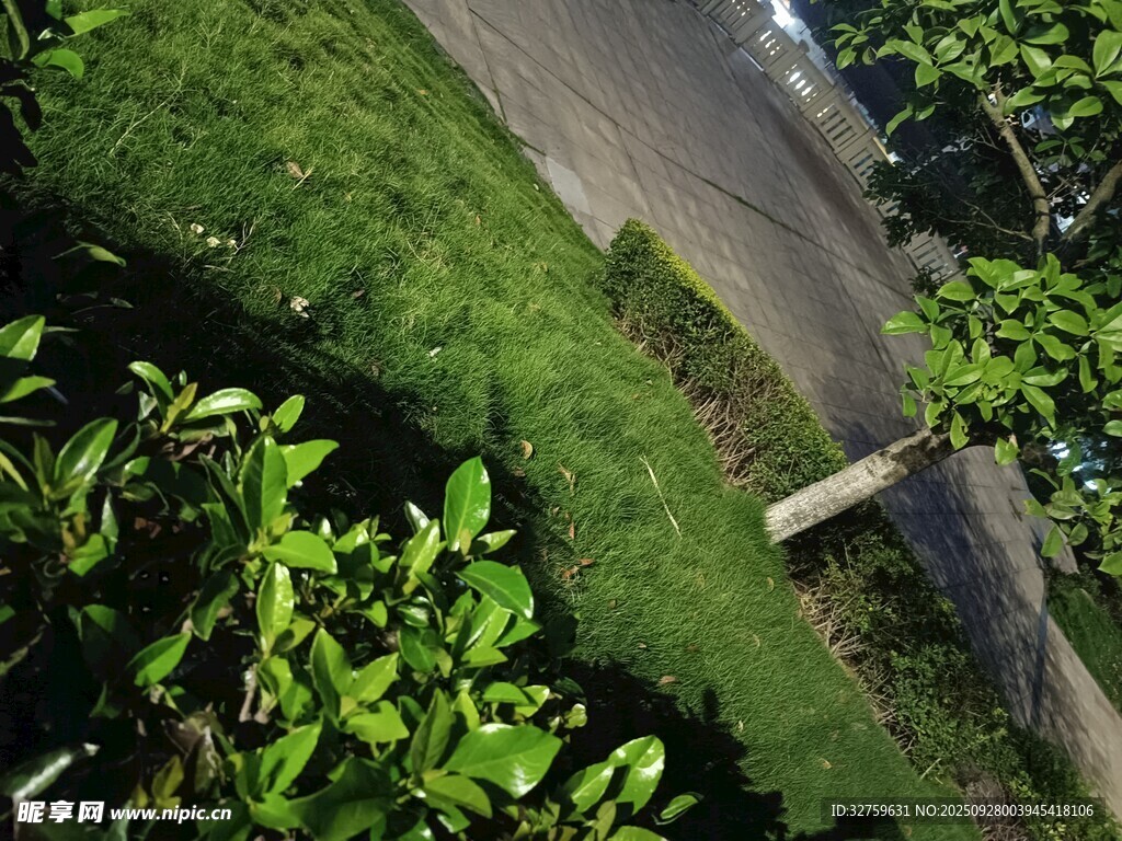 俯瞰綠意盎然的戶外景致
