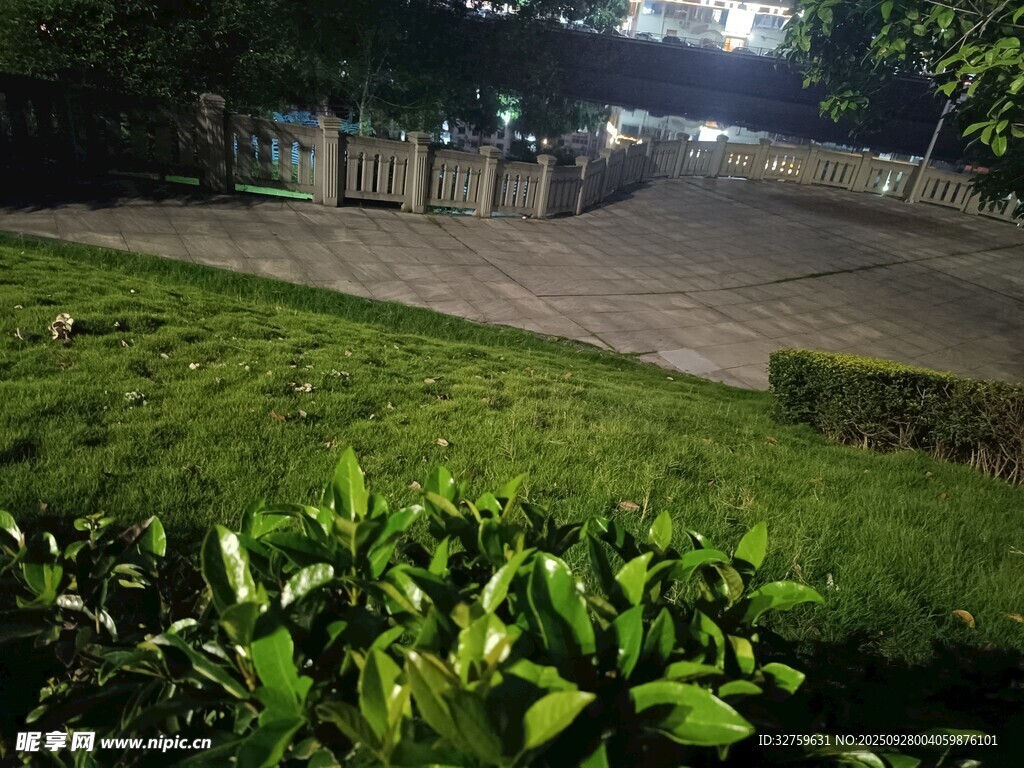夜晚綠植環(huán)繞的靜謐場(chǎng)地