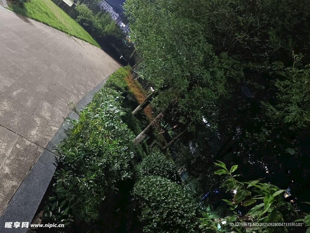 路邊綠植與黃色物件場(chǎng)景