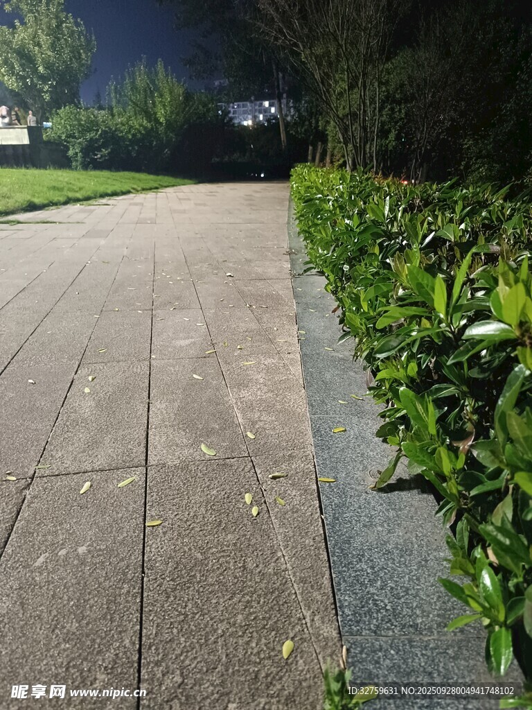夜晚幽靜的園林石板小徑