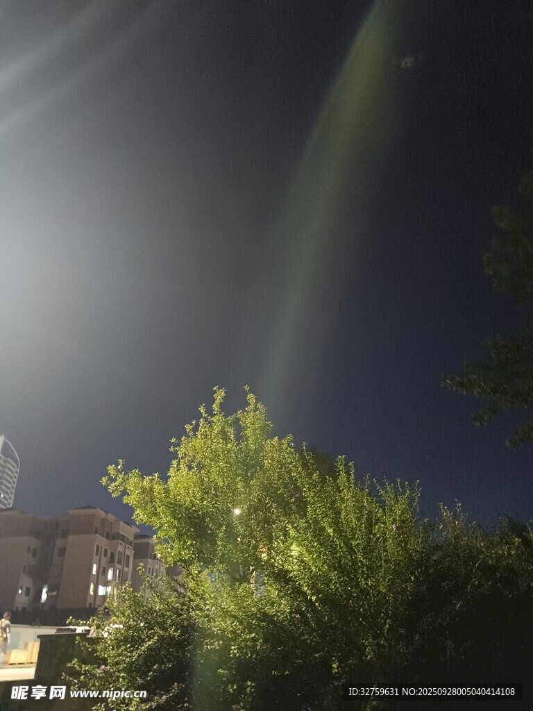 夜空中的光束與綠植景觀