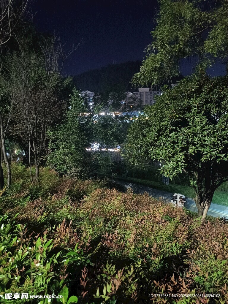 夜晚山林間的朦朧景致