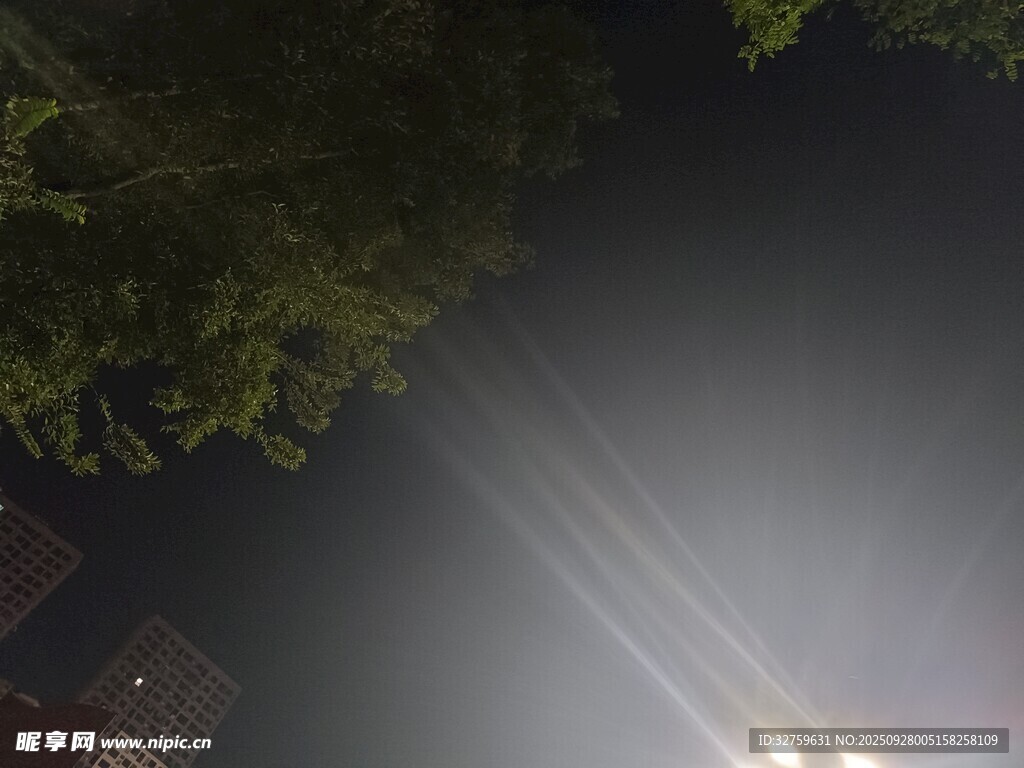 夜晚樹(shù)下的朦朧燈光