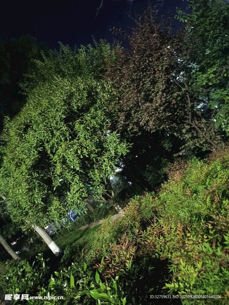 夜晚山林景色