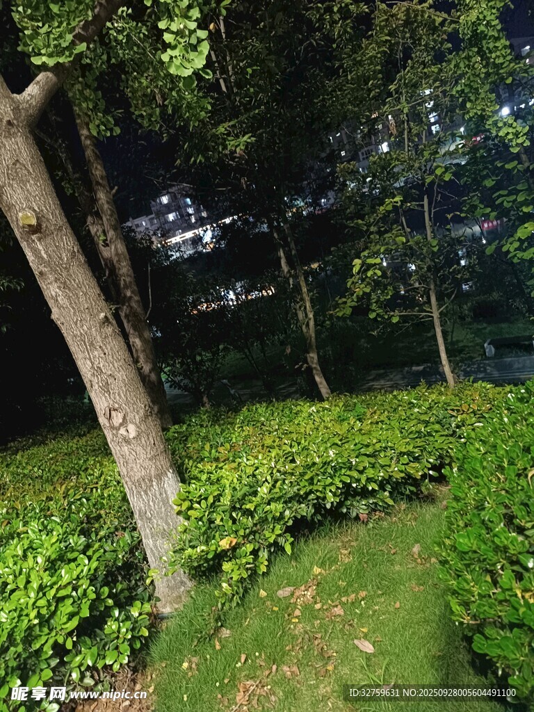 城市中的靜謐綠植景觀