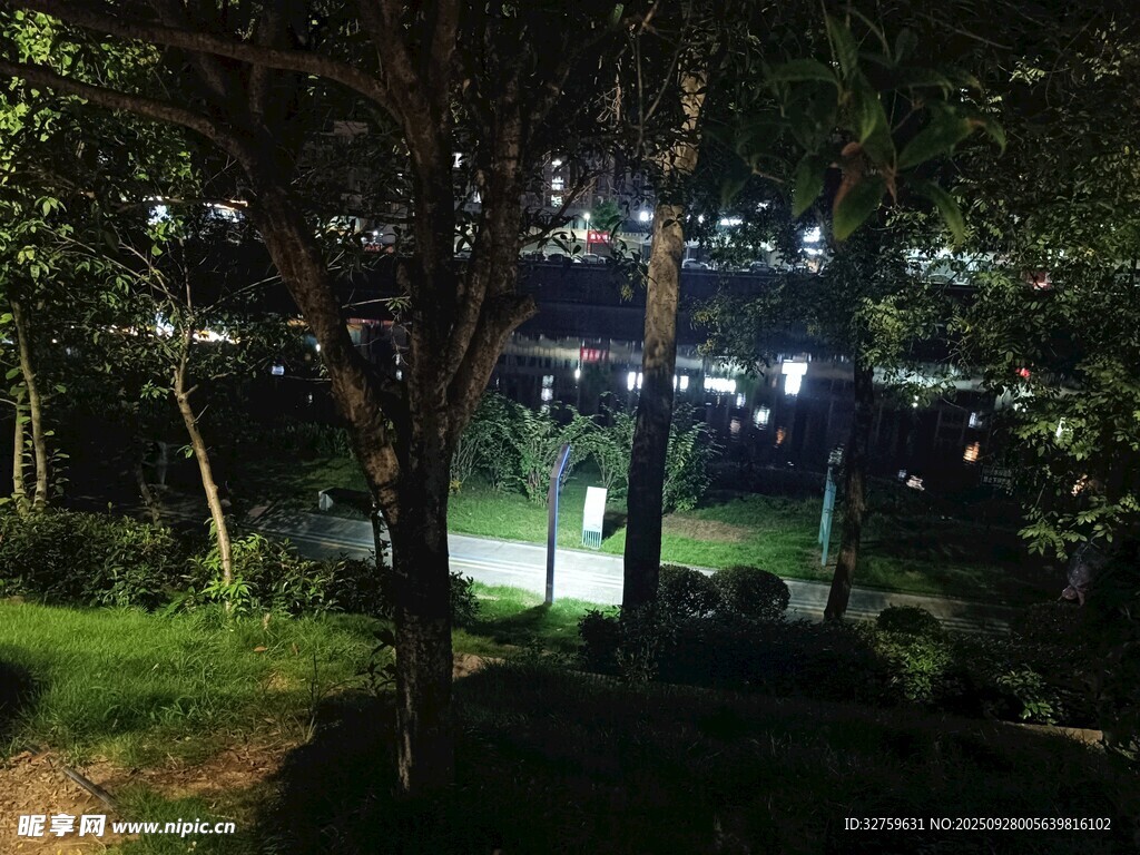 夜晚公園中的靜謐景象