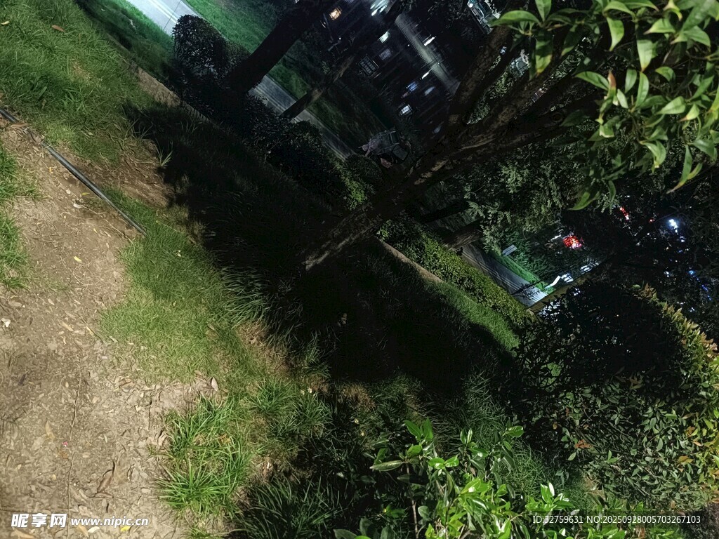 戶外綠植環(huán)繞的停放區(qū)域