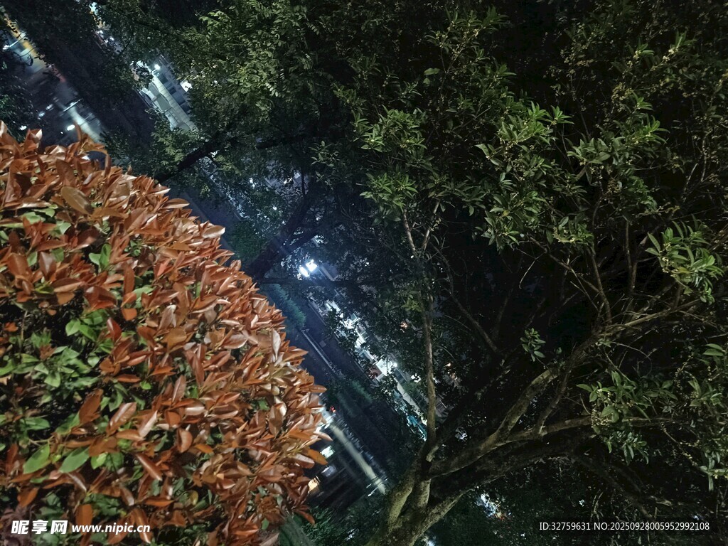 夜下繁花與高樓景象
