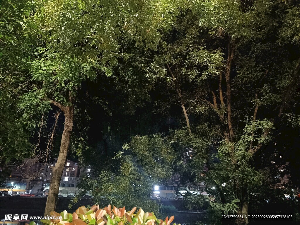 夜晚林間花卉與遠(yuǎn)處燈火