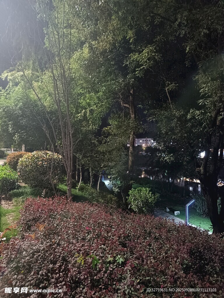 園林綠植景觀