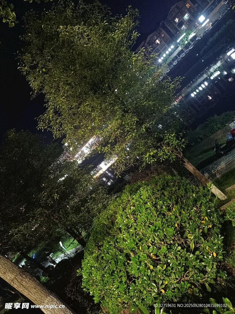 夜晚綠植旁的城市燈光景觀
