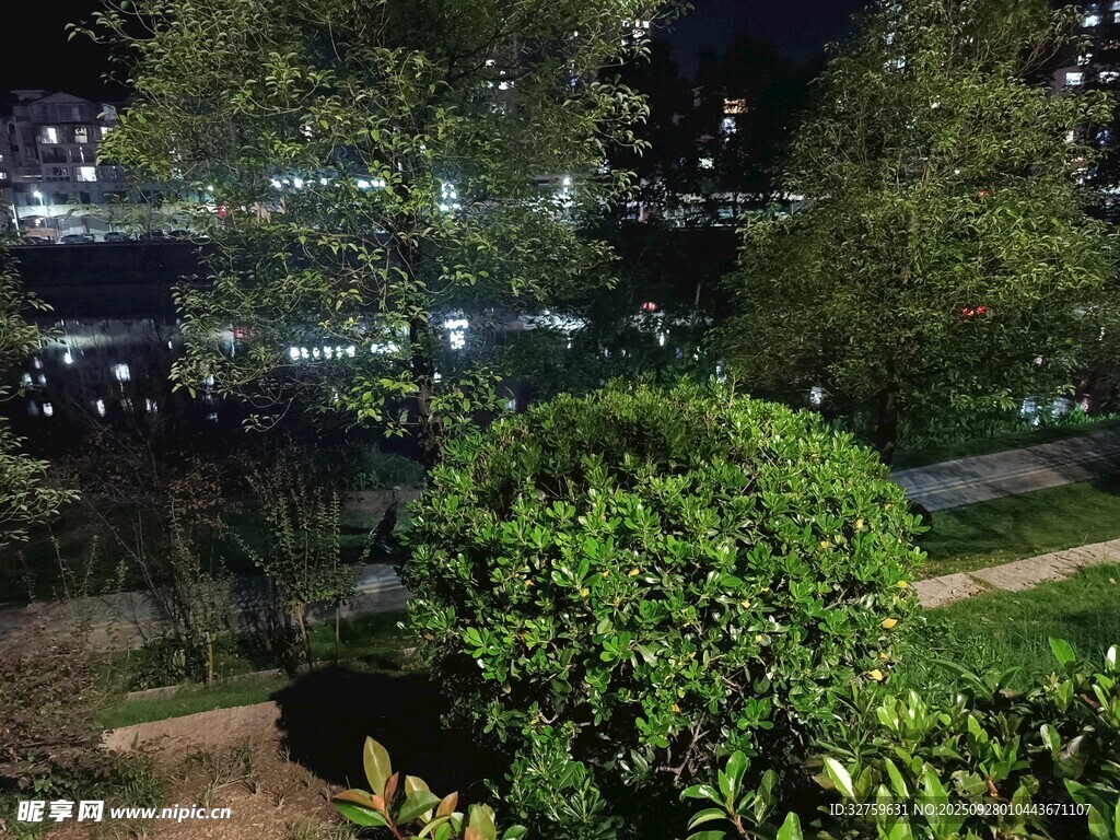 夜晚城市綠植景觀