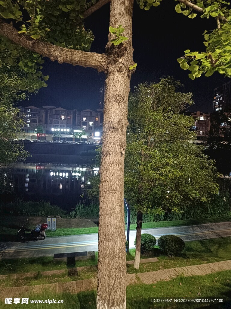 夜晚樹下的城市夜景風(fēng)光