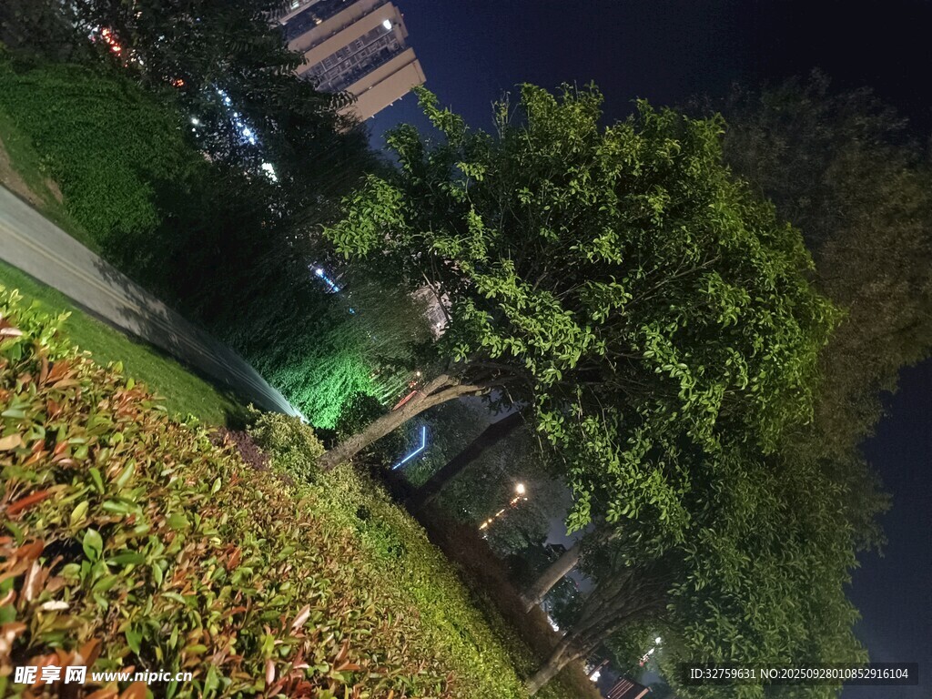 夜晚城市綠植景觀