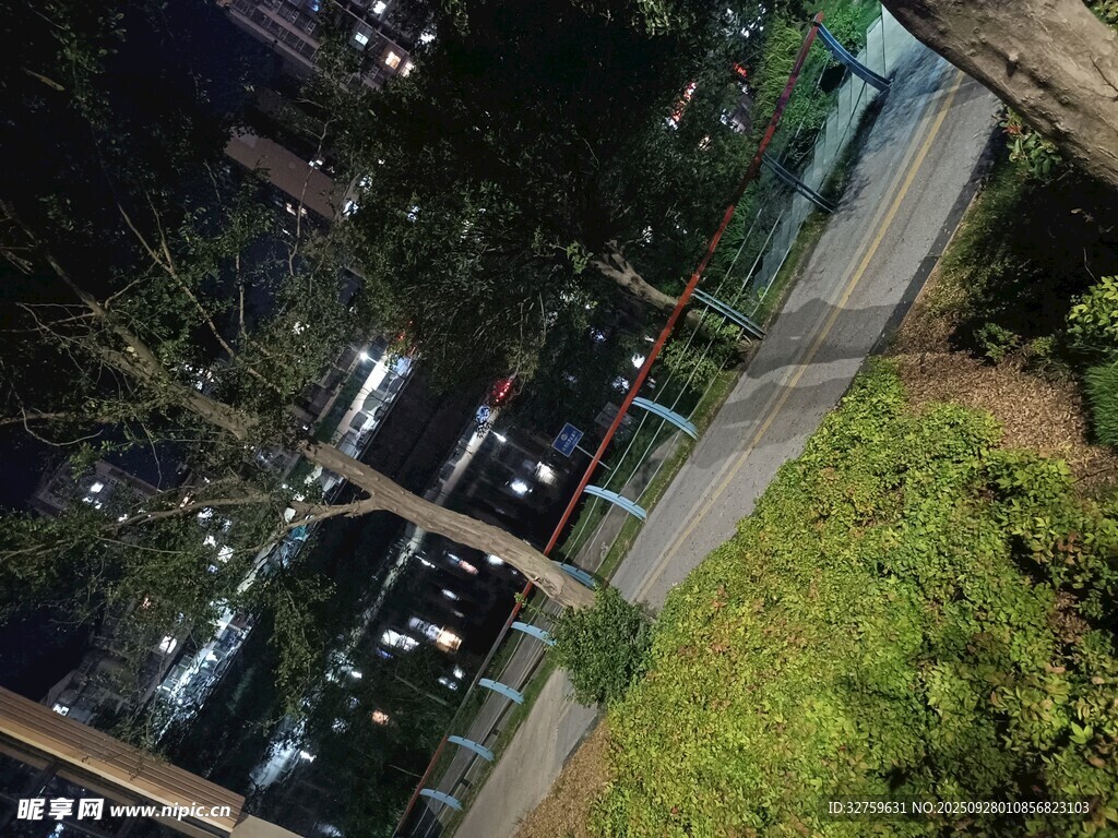 夜晚城市街道綠植景觀