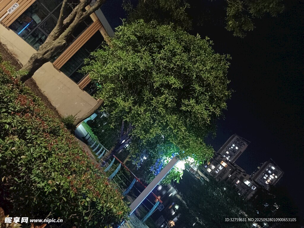 夜晚城市綠植旁的燈光景致