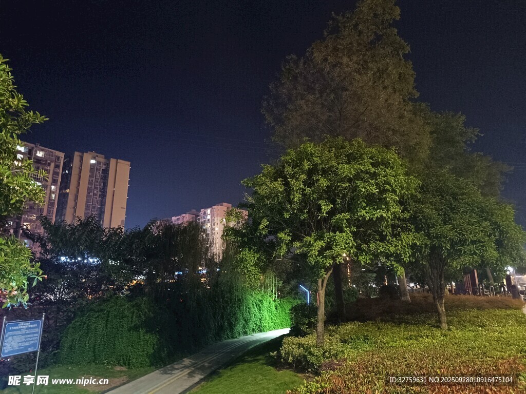 夜晚公園景色