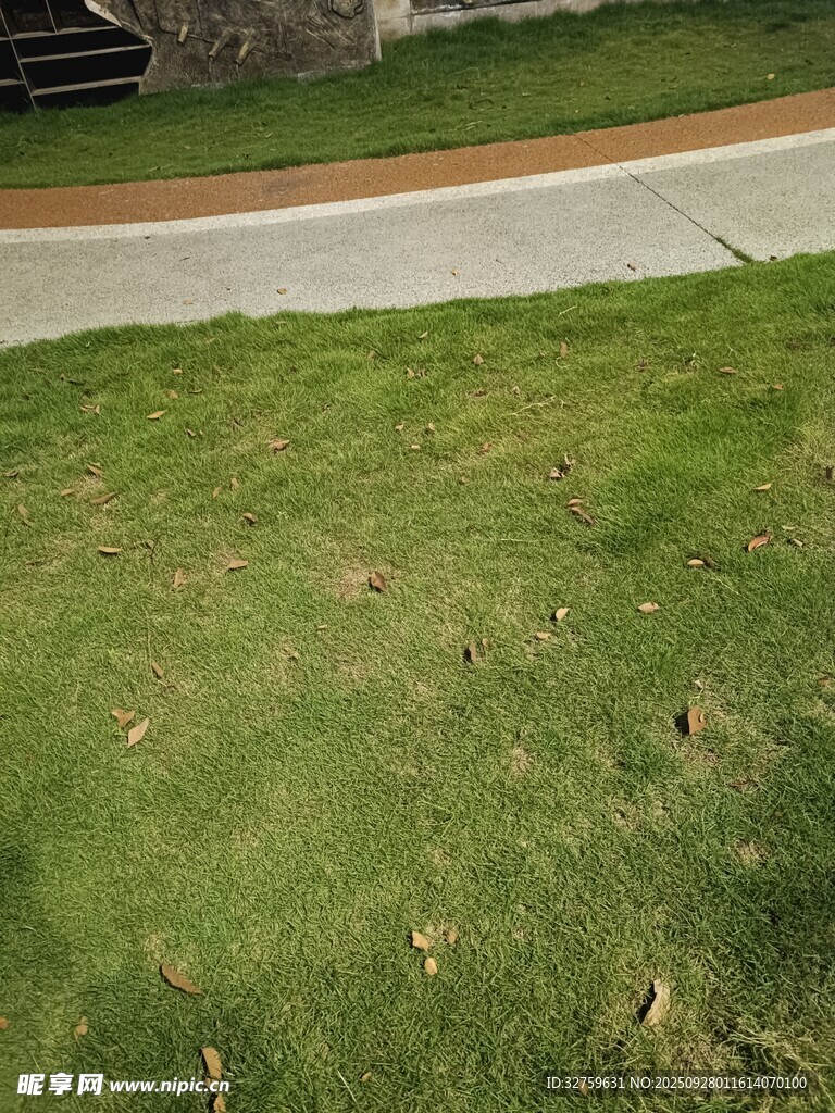 戶外草地場景
