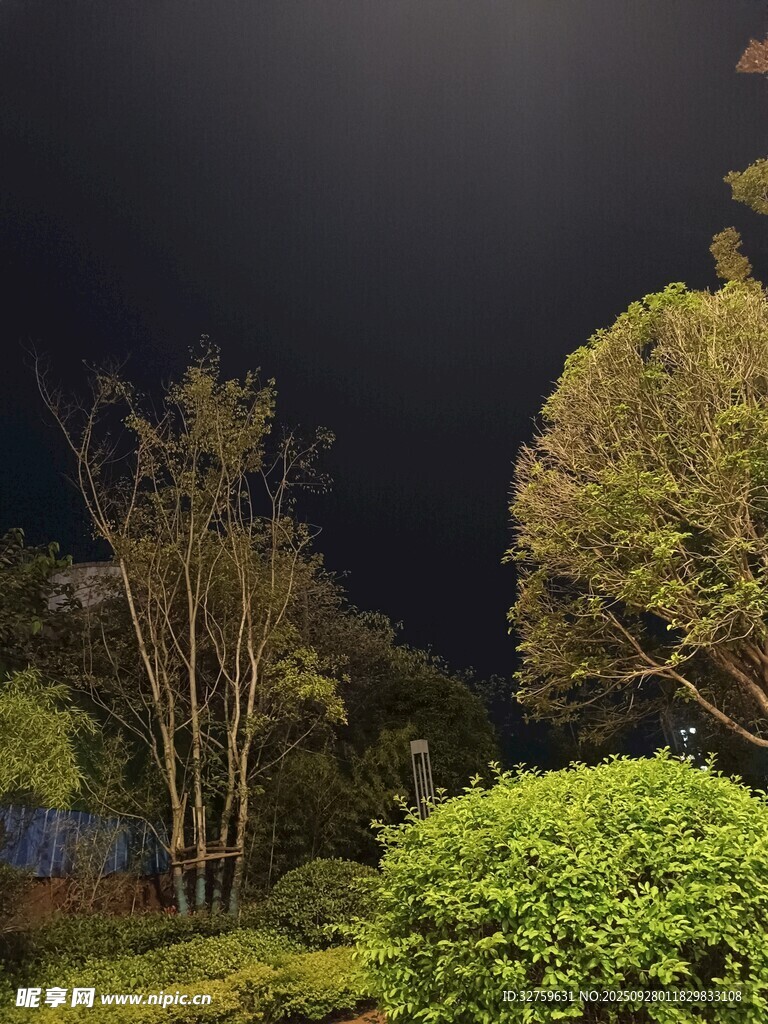 夜晚園林綠植景觀