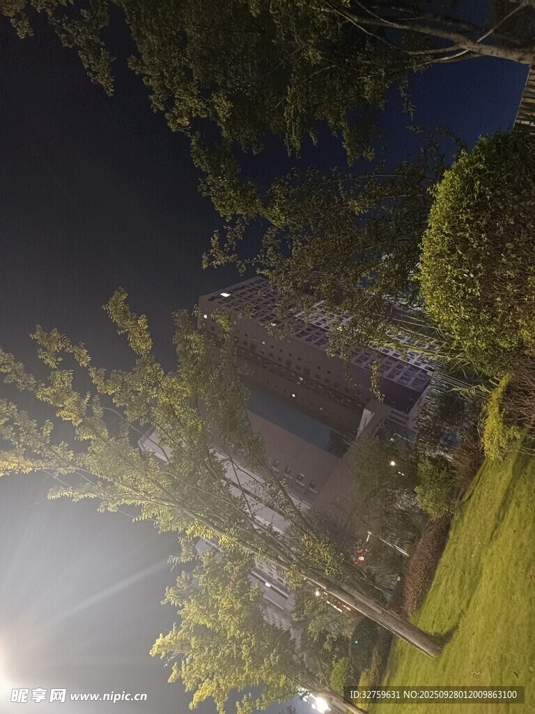 夜晚庭院綠植景觀