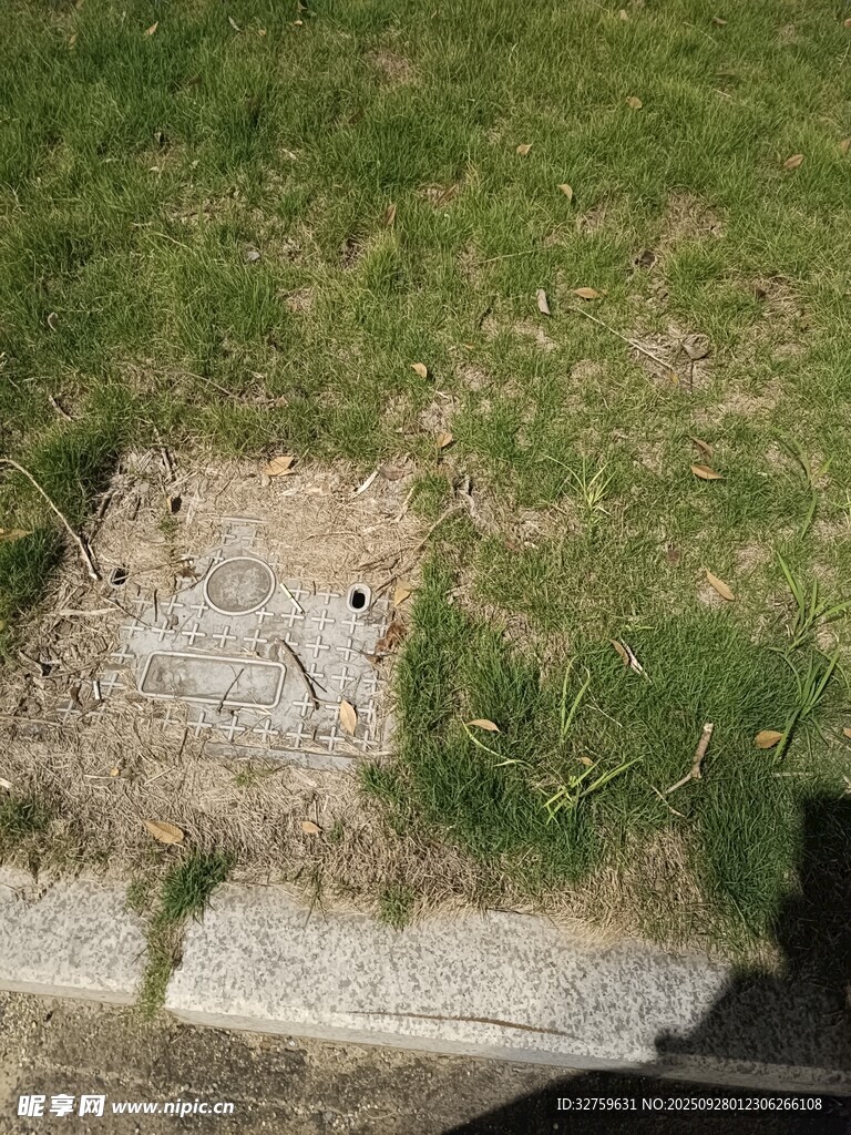 草地中的石塊